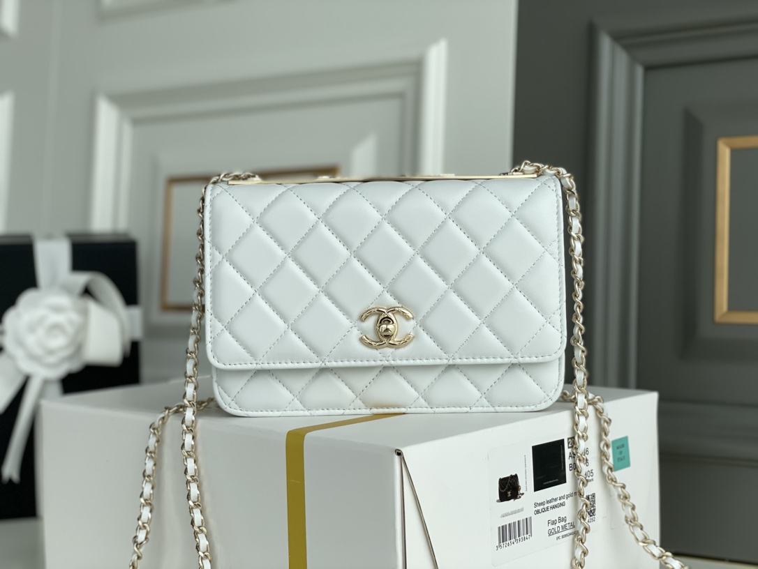 Chanel WOC Bags